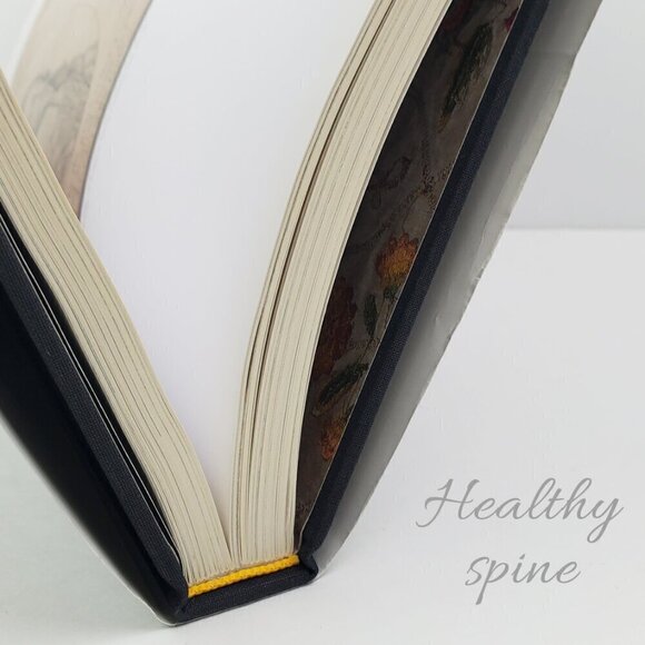 English Embroidery MoMA Metropolitan Museum Art Book (Twixt Art & Nature) 2008 - Picture 5 of 14